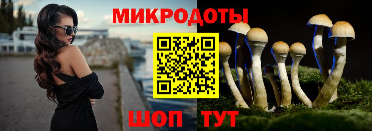 Псилоцибиновые грибы GOLDEN TEACHER  Галлюциногенные грибы Psilocybe  Протвино  Вход с VPN 